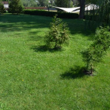 Jak vyrovnat pozemek v zemi vlastníma rukama pod trávníkem